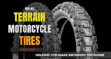 All-Terrain Adventure: Choosing the Right Motorcycle Tires for Every Ride