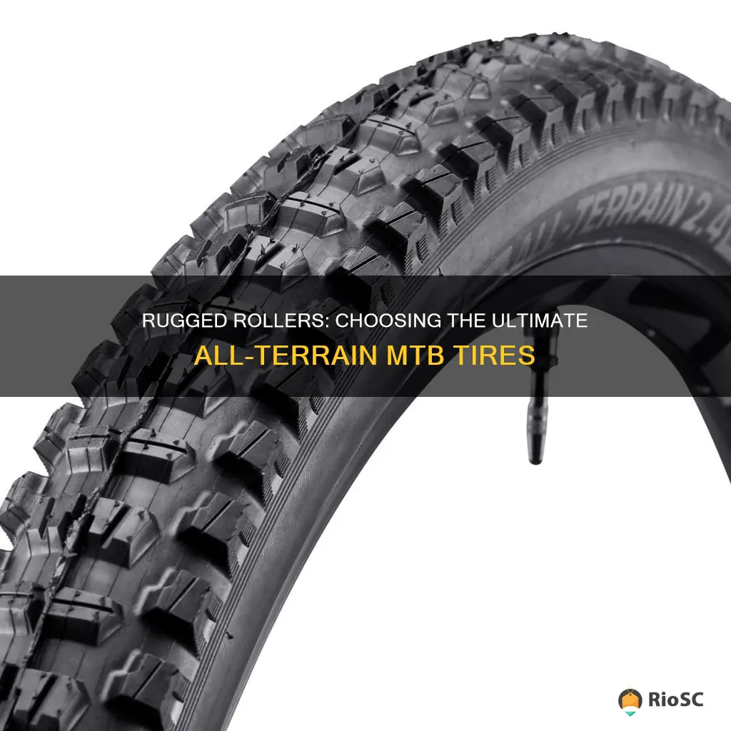 best all terrain mtb tires