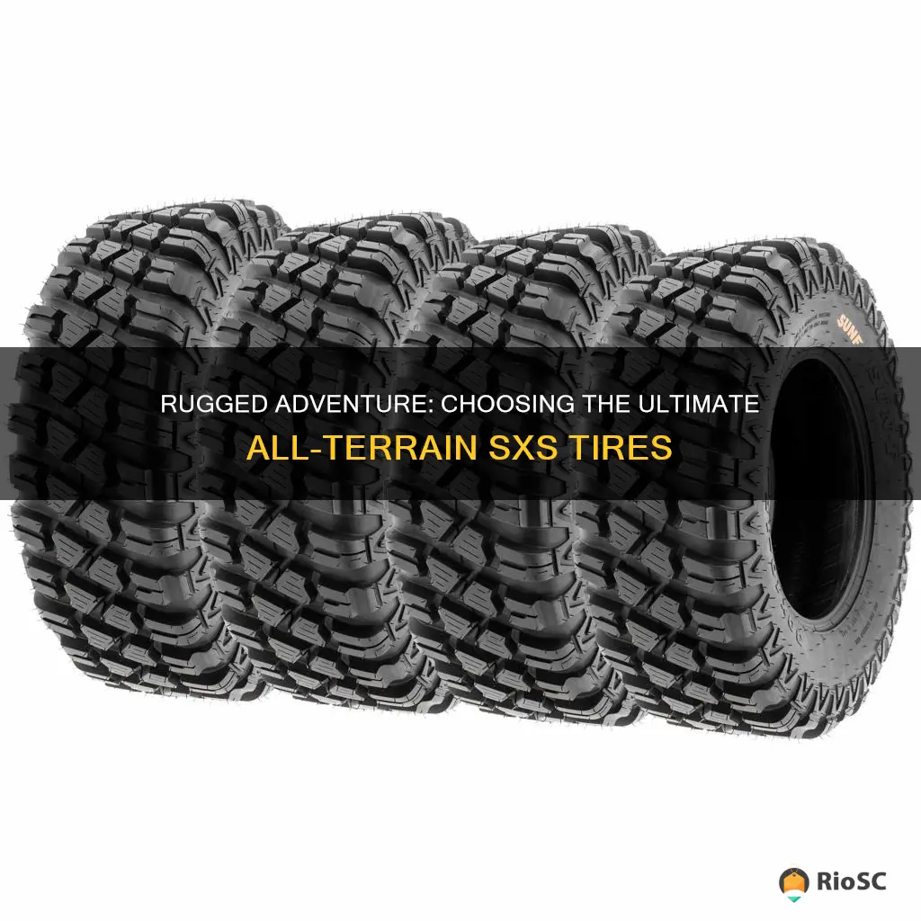 best all terrain sxs tires