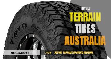 All-Terrain Tires: Australia's Ultimate Off-Road Adventure Companion