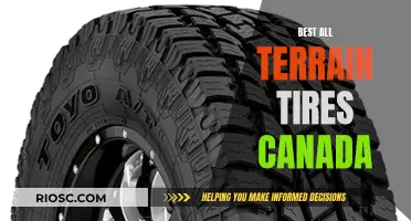 Canada's Rugged All-Terrain Tires: Mastering Every Trail