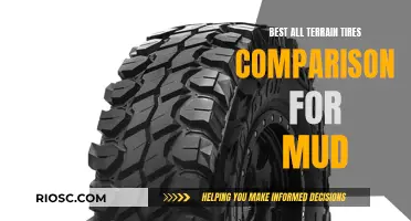 All-Terrain Tires: Conquering Mud with the Best Traction Options