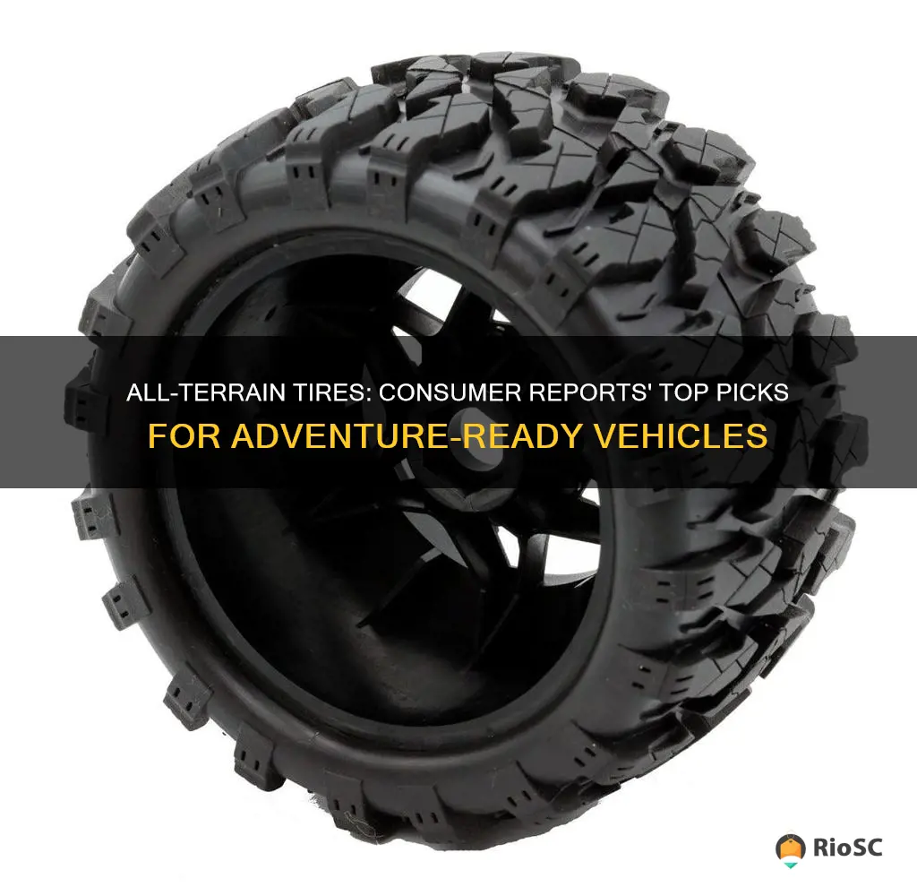 best all terrain tires consumer reports