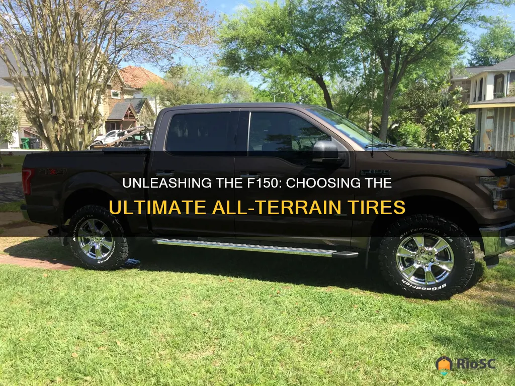 best all terrain tires f150