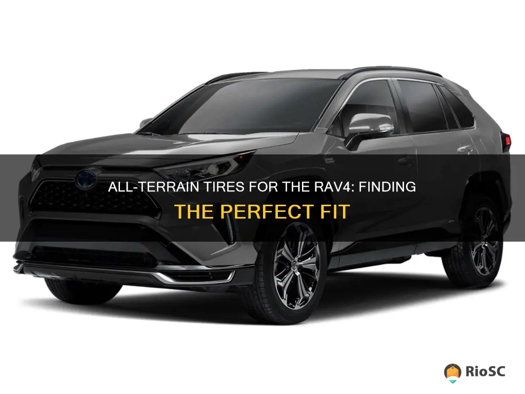 best all terrain tires fit rav4