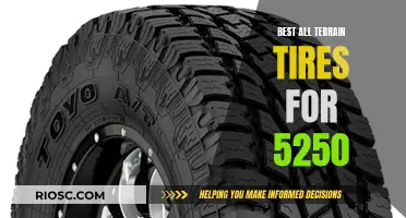 All-Terrain Adventure: Unveiling the Top Tires for 5250 Exploration