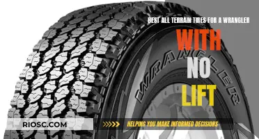 All-Terrain Adventure: Wrangling the Best Tires for Unlifted Jeeps