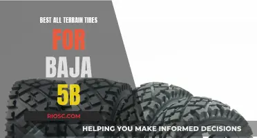 All-Terrain Adventure: Unlocking Baja 5b's Potential with the Ultimate Tire Choices