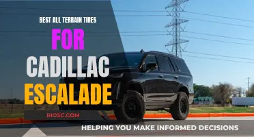 All-Terrain Adventure: Choosing the Right Tires for Your Cadillac Escalade