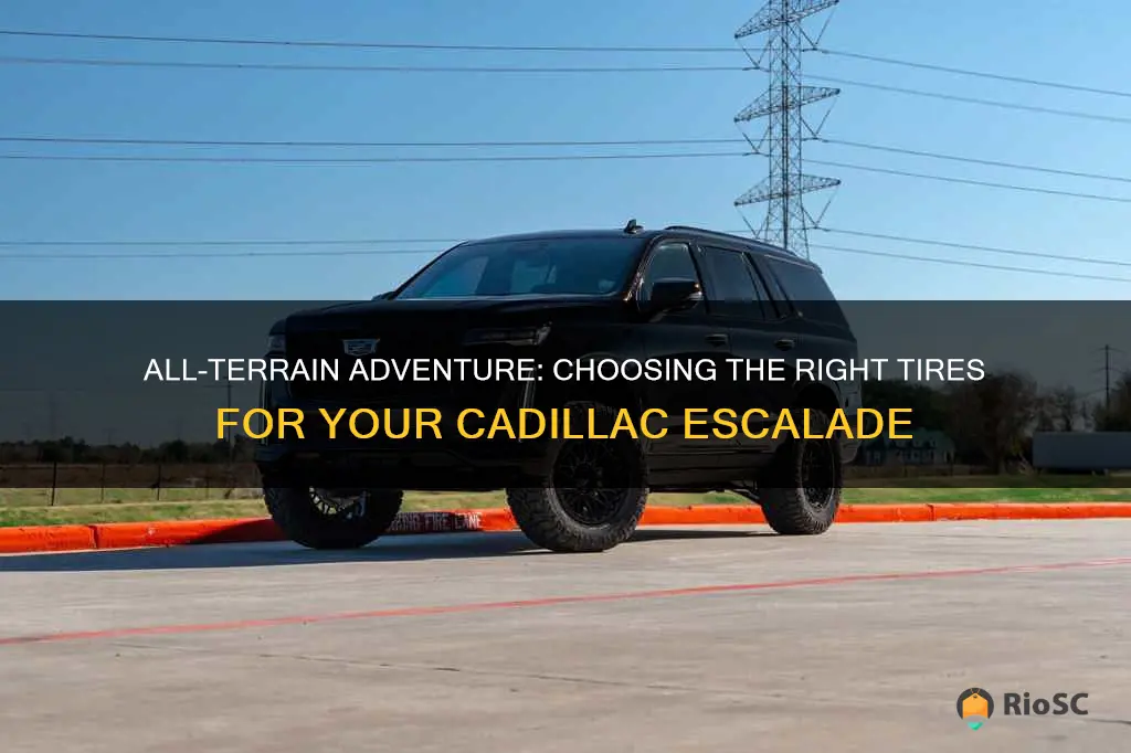 best all terrain tires for cadillac escalade