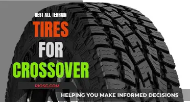 All-Terrain Adventure: Choosing the Right Tires for Your Crossover