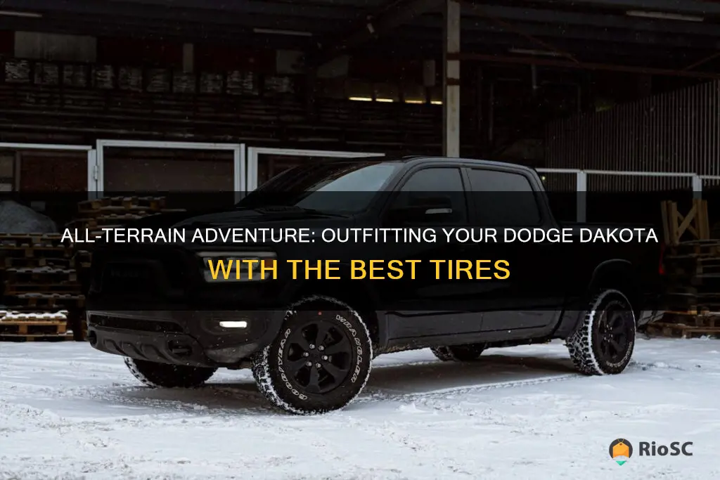 best all terrain tires for dodge dakota