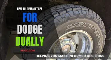 All-Terrain Adventure: Outfitting Your Dodge Dually for Any Landscape