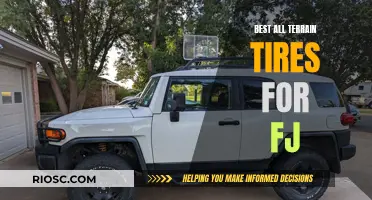 All-Terrain Adventure: Unlocking the Best Tires for Your FJ Cruiser