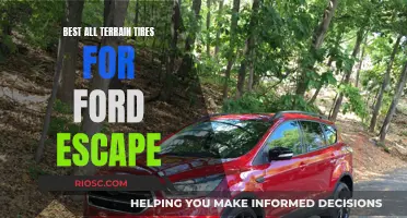 All-Terrain Adventures: Outfitting Your Ford Escape for Every Journey