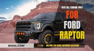 All-Terrain Adventure: Outfitting the Ford Raptor for Off-Road Exploration