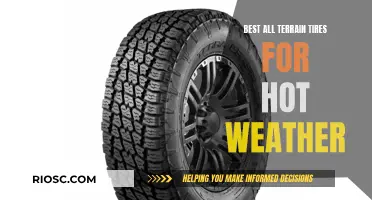 All-Terrain Tires for Scorching Summer Days