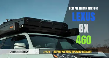 All-Terrain Adventures: Outfitting Your Lexus GX 460 for Every Road