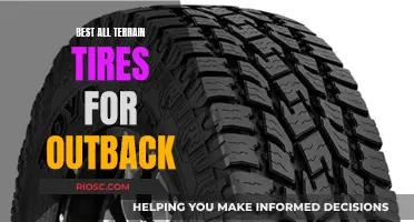 All-Terrain Adventure: Choosing the Right Tires for Your Outback Exploration