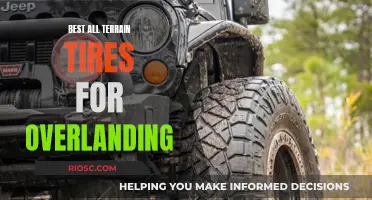 All-Terrain Adventure: Choosing the Right Tires for Overlanding