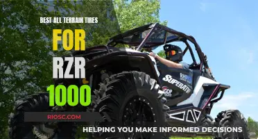 Unleashing the RZR 1000: Choosing the Ultimate All-Terrain Tires