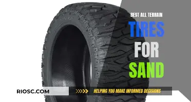 All-Terrain Adventures: Choosing the Best Tires for Sand