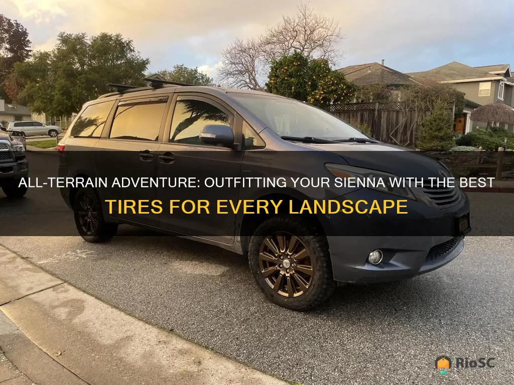 best all terrain tires for sienna