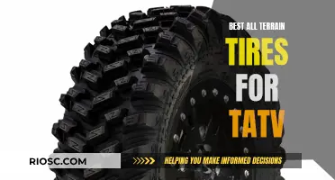 All-Terrain Adventure: Unveiling the Top Tires for Your TATV