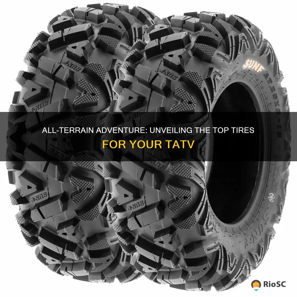 best all terrain tires for tatv