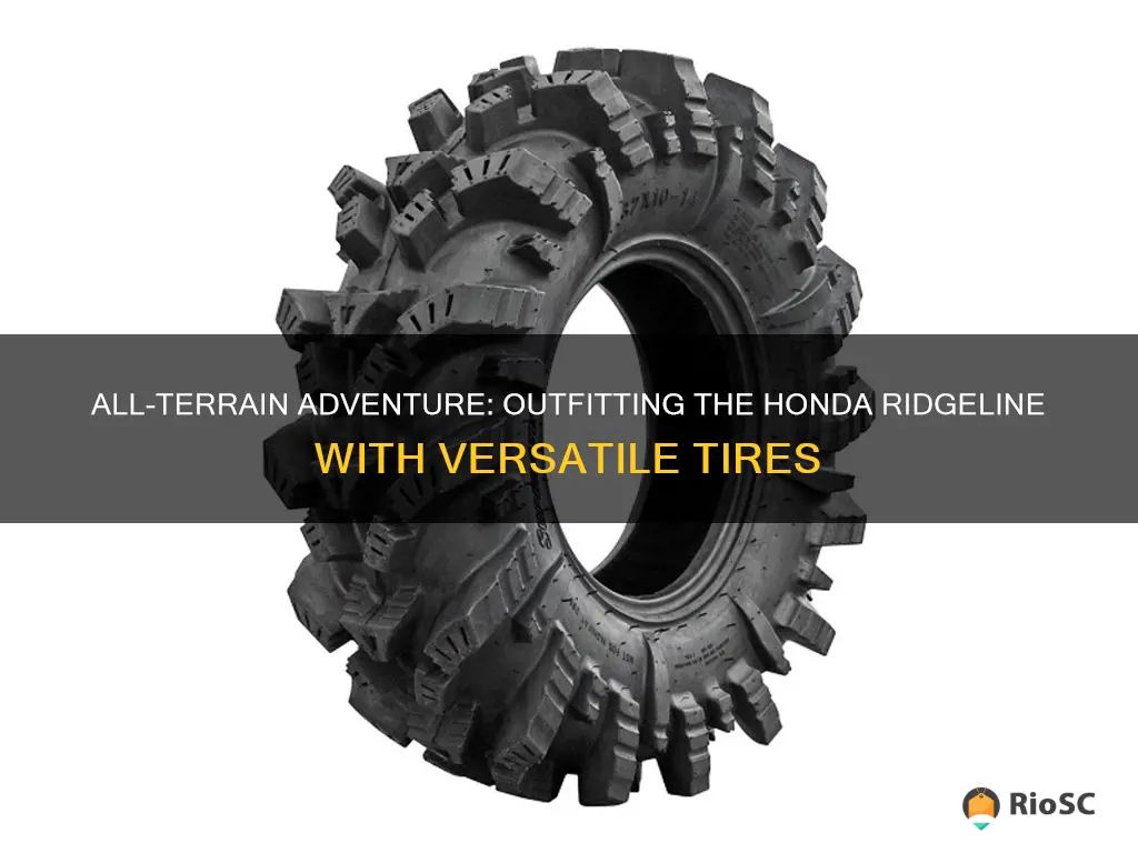 best all terrain tires for the honda ri