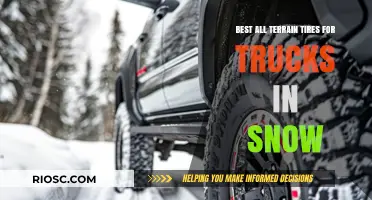 Top-Rated All-Terrain Truck Tires for Superior Snow Performance and Safety