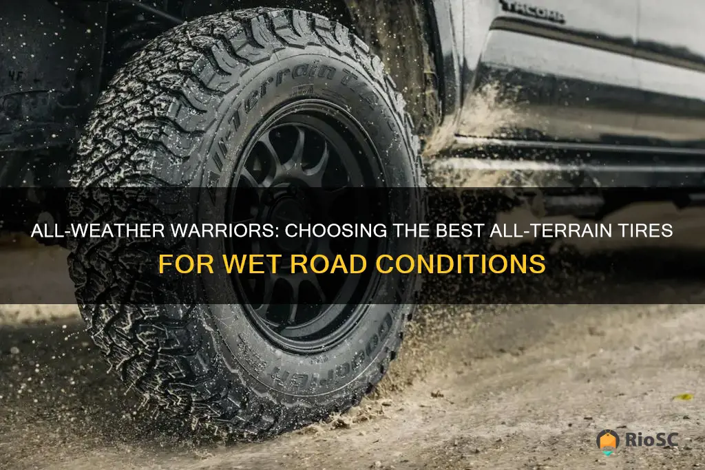 best all terrain tires for wet roads