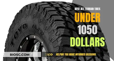 All-Terrain Adventure: Top Tire Picks Under $1050