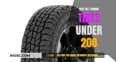 Rugged Adventure: Exploring the Best All-Terrain Tires Under 200 Bucks