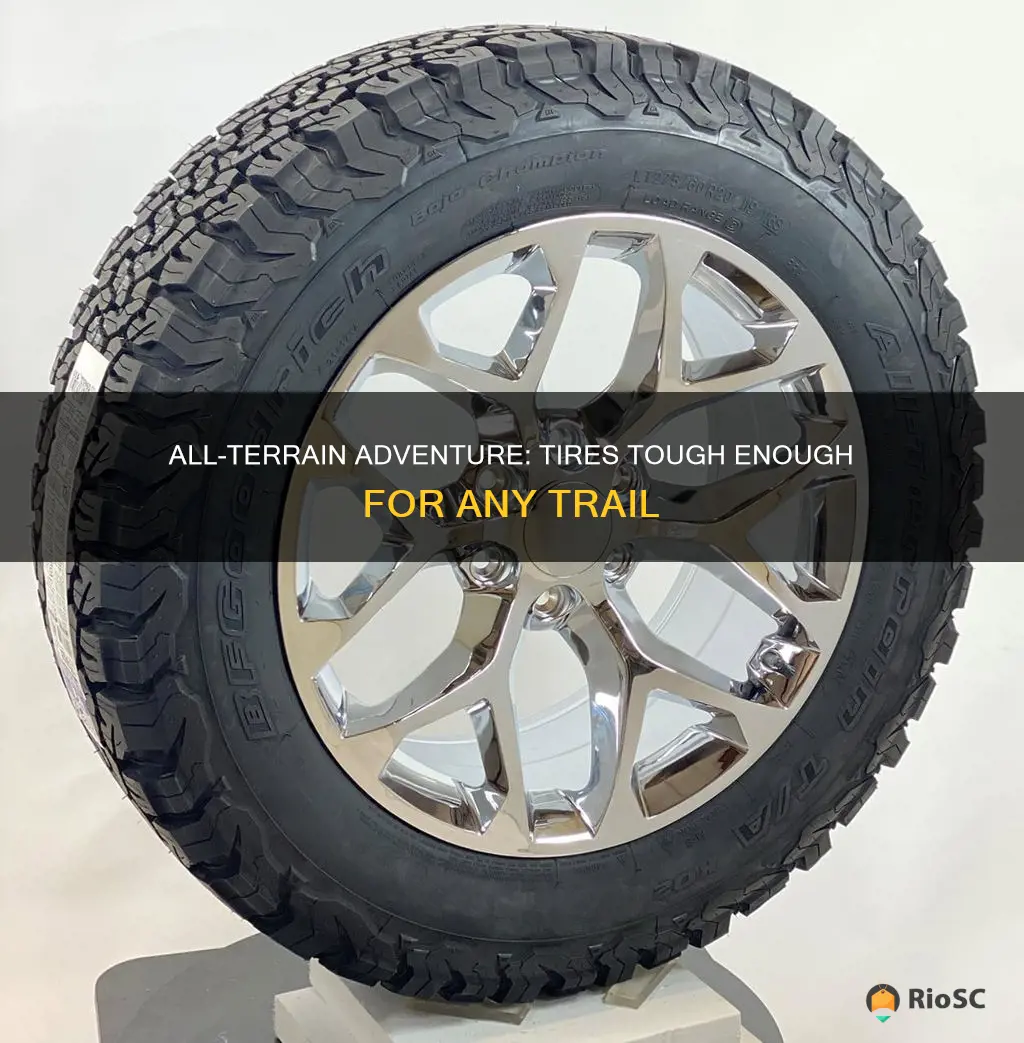 best all terrain tires with mountain snowflake symbol