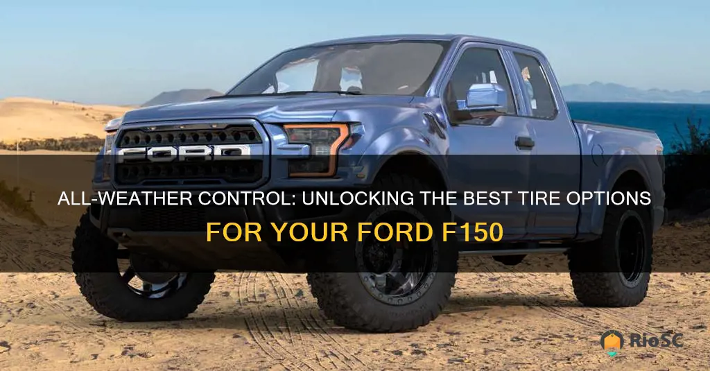 best all waeather tires for ford f150