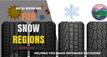 Top All-Weather Tires for Snowy Regions: Stay Safe and Mobile