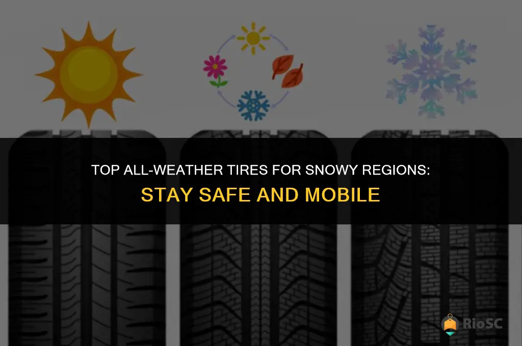 best all weatehr tires for snow regions