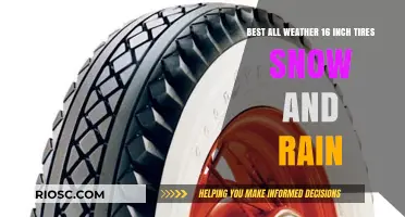 Top-Rated All-Weather 16-Inch Tires for Snow and Rain: A Comprehensive Guide
