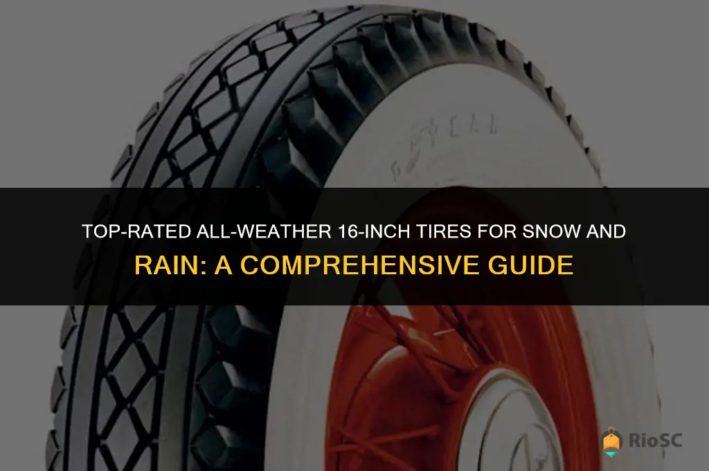 best all weather 16 inch tires snow and rain