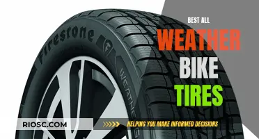 The Ultimate Guide to All-Weather Bike Tires: Rolling Through Any Condition