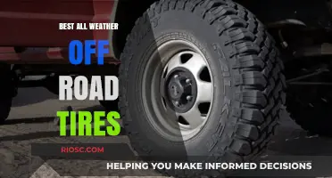 Top All-Weather Off-Road Tires for Unmatched Performance in Any Condition