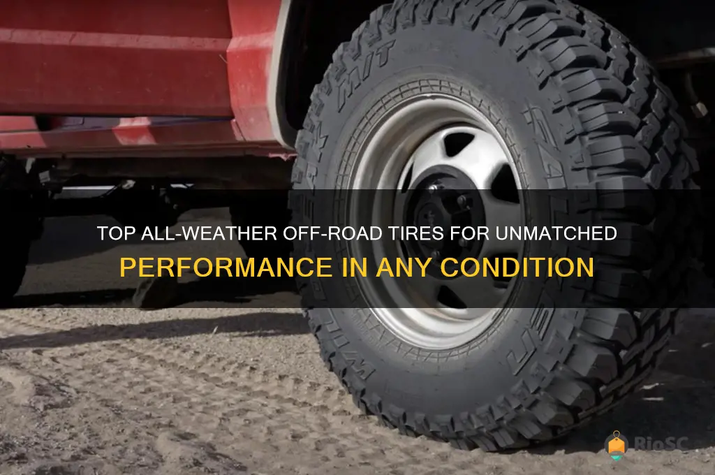best all weather off road tires