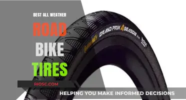 Top All-Weather Road Bike Tires for Reliable Performance in Any Condition