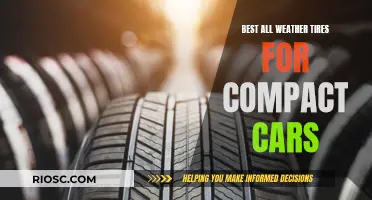 All-Weather Control: Choosing the Right Tires for Your Compact Car