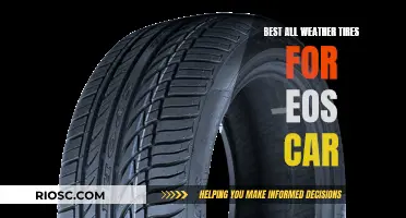 All-Weather Tire Options for the Ultimate Performance of Your EOS Car