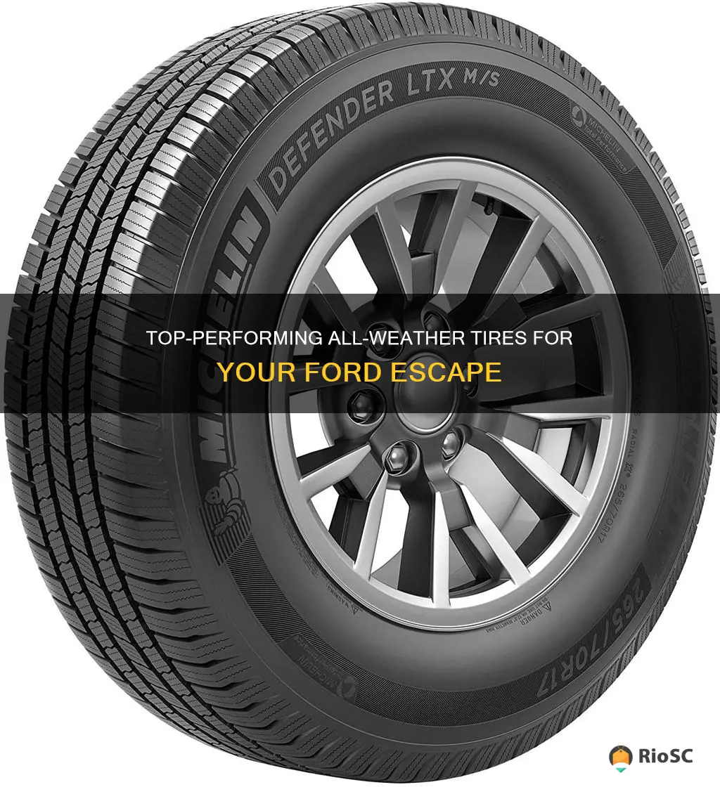 best all weather tires for ford escape