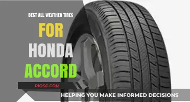 Top All-Weather Tires for Your Honda Accord: Performance and Durability in Any Condition
