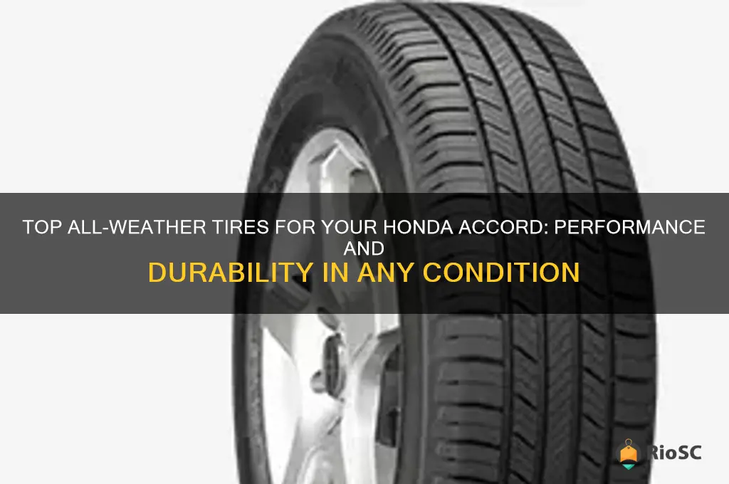 best all weather tires for honda accord
