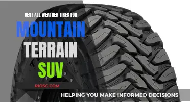 All-Weather Tires for Mountainous Terrain: Choosing the Best for Your SUV